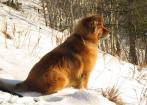 harry in sun (November)