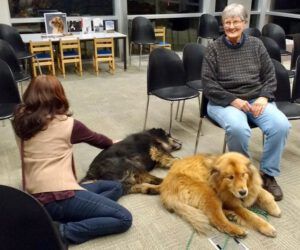 16 pats (Wilderness Dog Tells All – Part One)