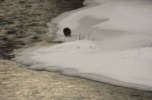 soething odd…. (November)