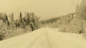 craft fair road (November)