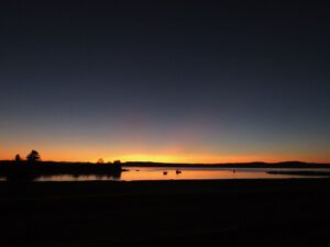 22 sunrise 1 (Wilderness Dog Tells All – Part One)