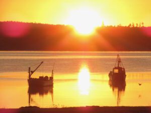 23 sunrise 2 (Wilderness Dog Tells All – Part One)