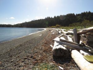 24 gabriola (Wilderness Dog Tells All – Part One)