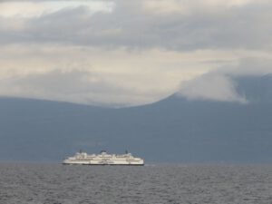 27 to mainland (Wilderness Dog Tells All – Part One)