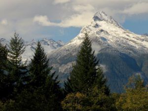 29 dog walk (Famous Harry Part Two)