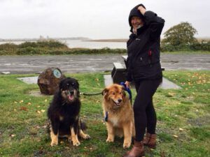 33 crescent beach (Famous Harry Part Two)