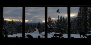 sunset window (November)