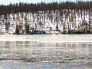 54 fire and ice (Famous Harry Part Two)