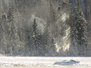 59 fire close (Famous Harry Part Two)