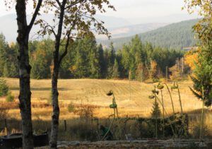 IMG_7219 (Famous Harry Part Two)