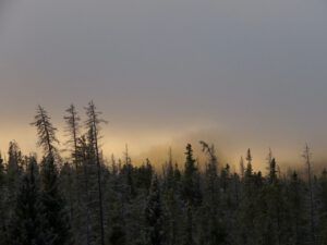 1 morning fog (December)