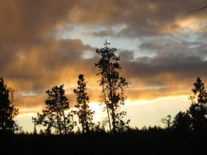 1 sunrise (New Year’s Eve)