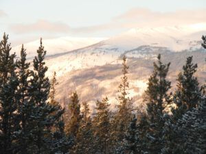 13 burned nogwon (New Year’s Eve)