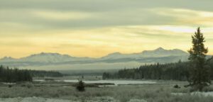 1c g fog cariboo flats (December)