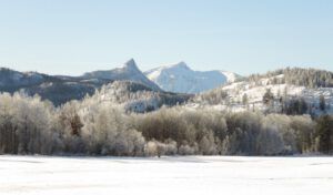 1d downtown KK hoarfrost FP (December)