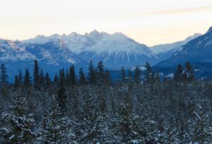 20 turkey dinner (New Year’s Eve)