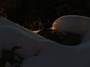 5 sundown effect 2 best (December)