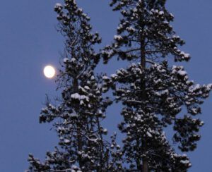 moon (New Year’s Eve)