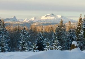 this morning (New Year’s Eve)