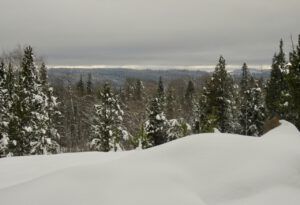 1 January 15th (January 15th)