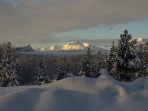 10 another bit of sun (January 15th)