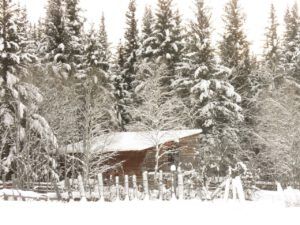 12 barn (January 15th)