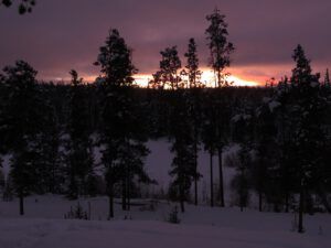 13 today’s sun ration (January 15th)