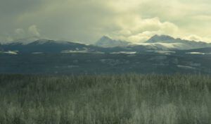 14 Mts from Ni mpo (Blue Moon)