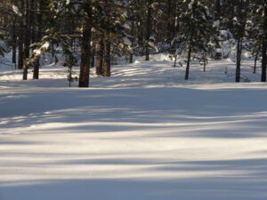 16 smow shadows (Blue Moon)