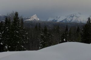 1c bald FP best (Blue Moon)