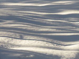3 fresh snow shadows (January 15th)