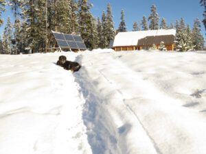 4 solar panels (January 15th)