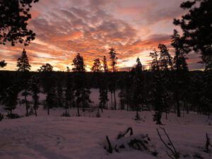 5 sunrise (January 15th)