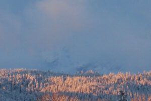 7 middle mt foggy (Blue Moon)