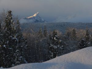 8 FP catching light (Blue Moon)