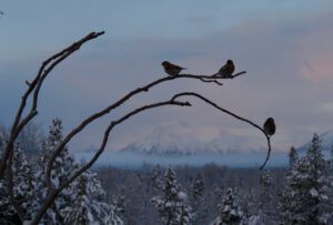 waiting for space (January 15th)