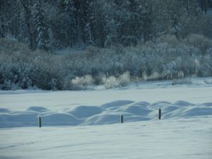 9 KK fire (Blue Moon)