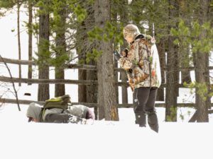 15 photo (February at Ginty Creek)