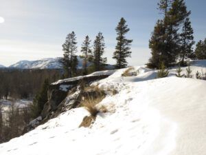 21 cliffs (February at Ginty Creek)