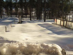 29 The garden (February at Ginty Creek)
