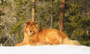 10 Harry (Spring Equinox 2018)