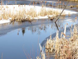 1 slough 1 (Spring – sort of!)