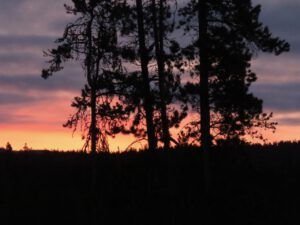 10 sunrise (April fool)