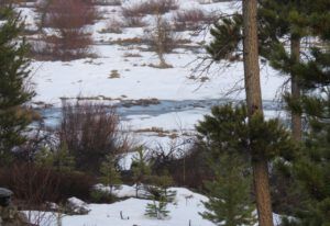 11  creek flowing (Spring – sort of!)