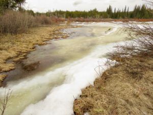 12 ice going (Spring – sort of!)