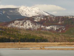 15 KK fire (Spring – sort of!)