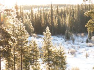 17 snow and frost (April fool)