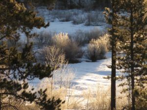 18 snow and frost 2 (April fool)