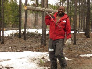 19 Hussien hauling logs (Spring – sort of!)