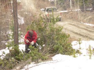 21 axing (Spring – sort of!)